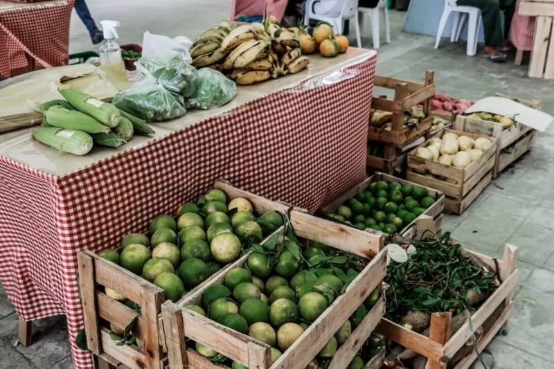 Itaboraí promove Agricultura Familiar e do Empreendedor Familiar