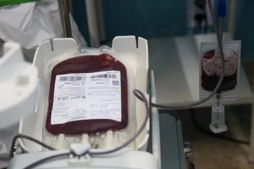 Mais de 20 bolsas de sangue são usadas por dia em São Gonçalo