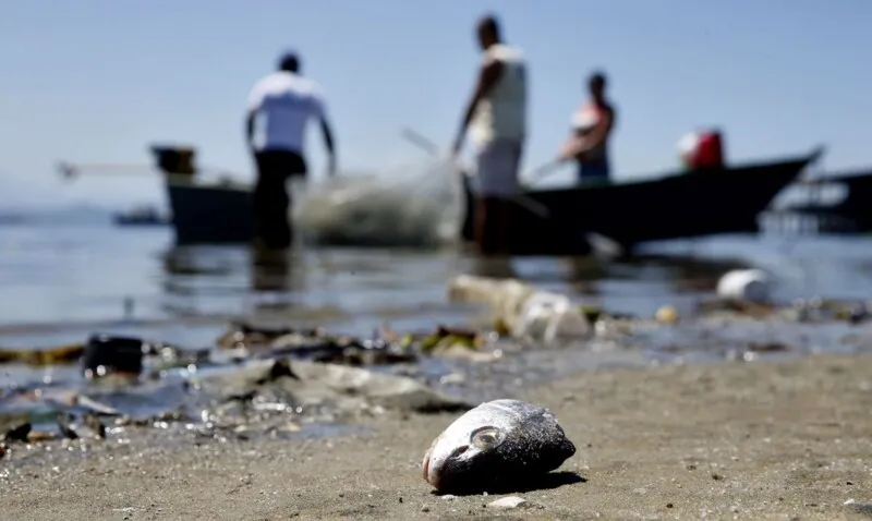 Um dos entraves para a pesca artesanal na região é a poluição da Baía de Guanabara