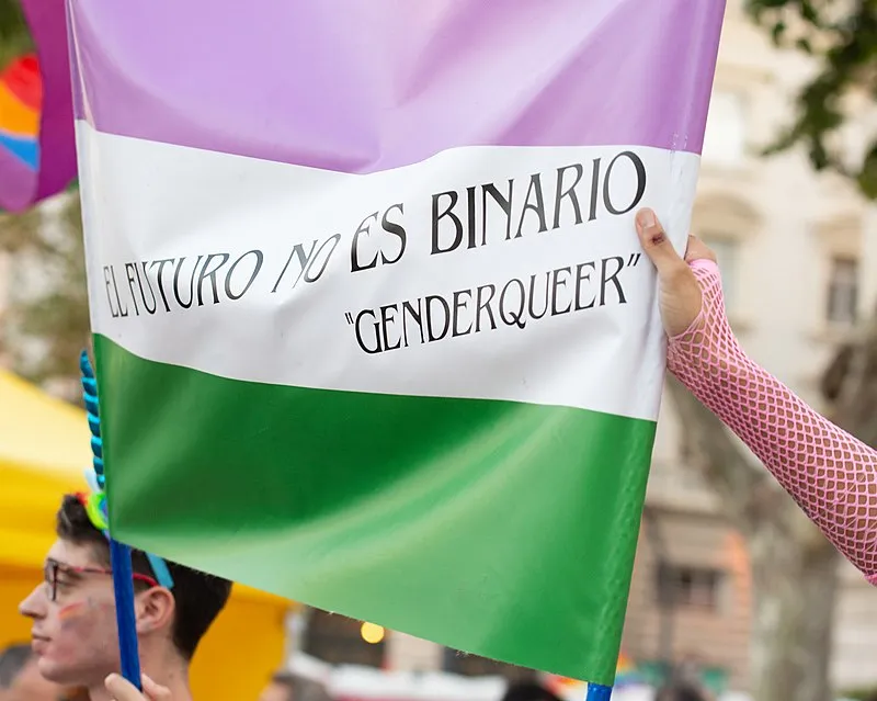 Bandeira "Genderqueer" escrita  "O Futuro não é binário" em espanhol