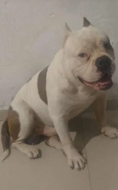 Mutante foi morto a facadas