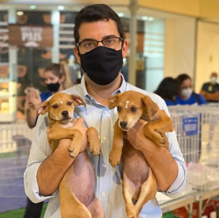 Nove cães e um gato foram adotados 