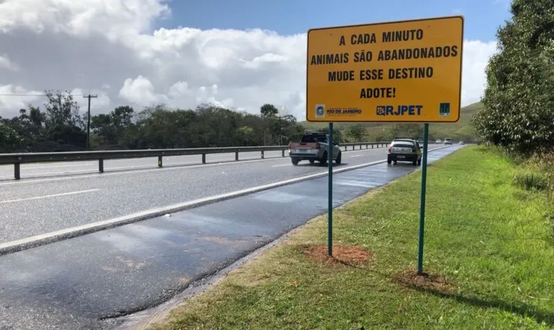 Placas RJPET
