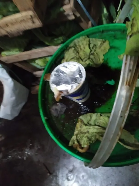 Alimentos vencidos foram encontrados na inspeção da Vigilância Sanitária