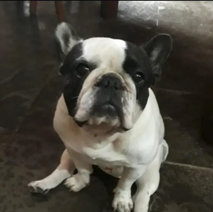 Mabel