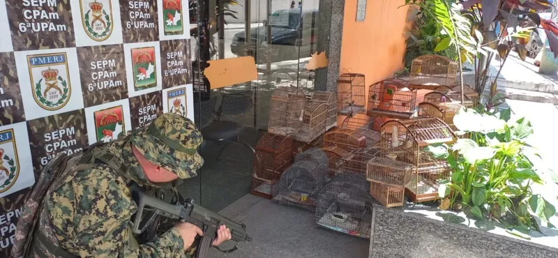 O Linha Verde reforça a solicitação para que a população continue denunciando crimes ambientais
