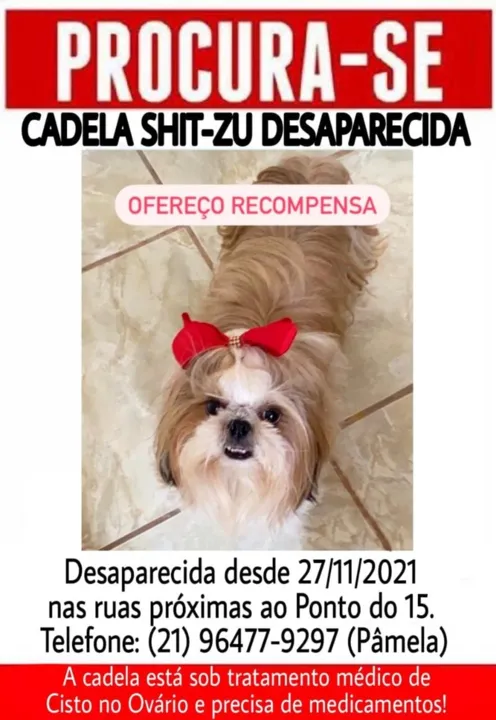 Filó está desaparecida desde da tarde de sábado (27)