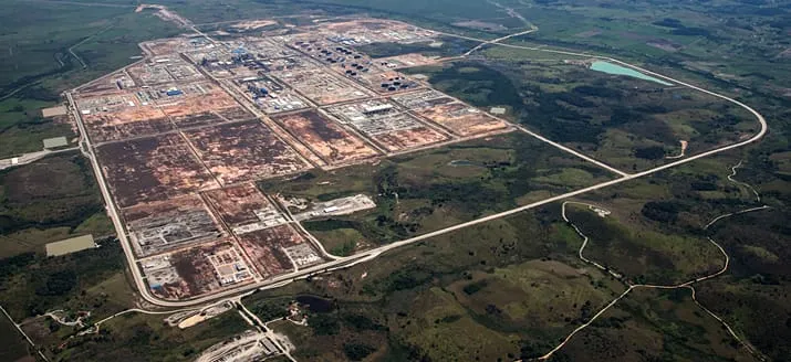 Mais de 466,1 hectares foram plantados e monitorados no interior do GasLub