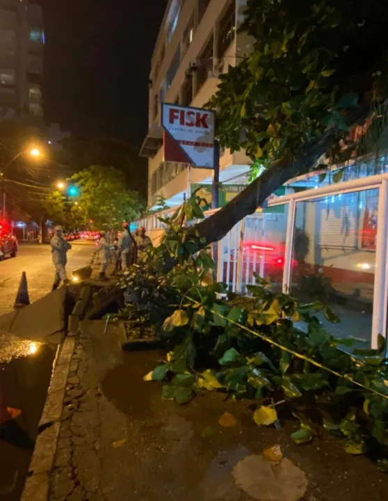 Chuvas fortes causaram impacto na cidade. Árvore caiu  em Icaraí 