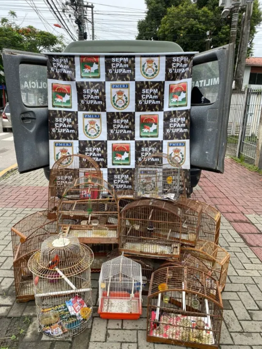 O Linha Verde reforça a solicitação para que a população continue denunciando crimes ambientais em todo o Estado do Rio
