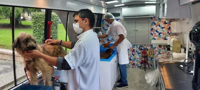 RJPET e Senac RJ prestam auxílio a animais resgatados em Petrópolis