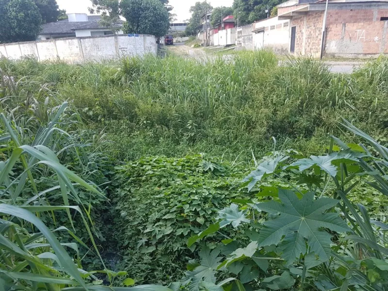 O mato ao entorno do valão tem causado preocupação nos moradores