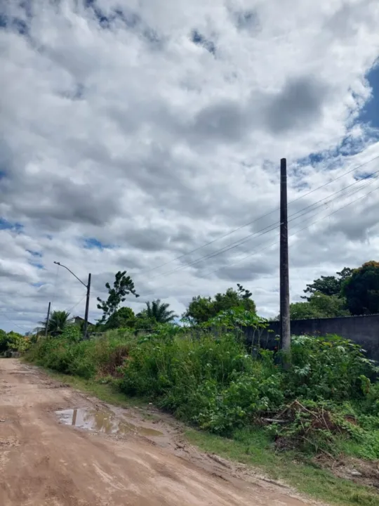 Em alguns postes, é possível ver que não há lâmpadas