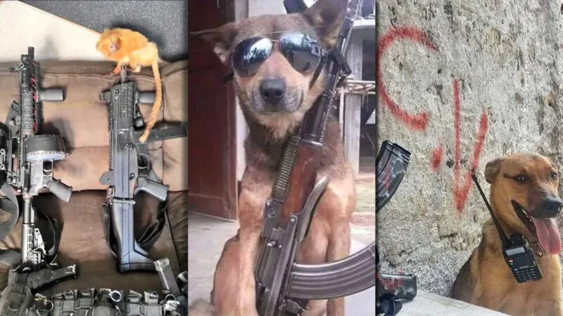 As imagens viralizaram na internet