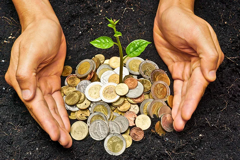 Bioeconomia
