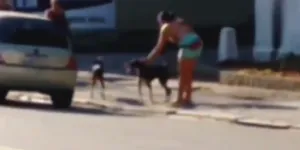 Duas mulheres foram flagradas abandonando os animais