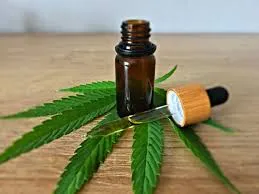 Uso medicinal da cannabis