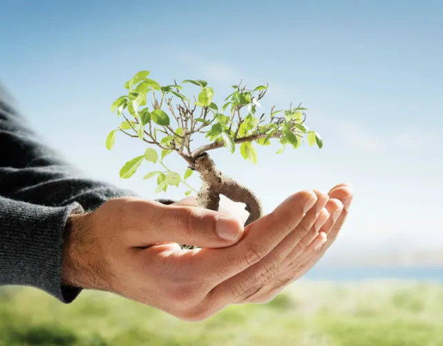 Prêmio Firjan Ambiental 2021