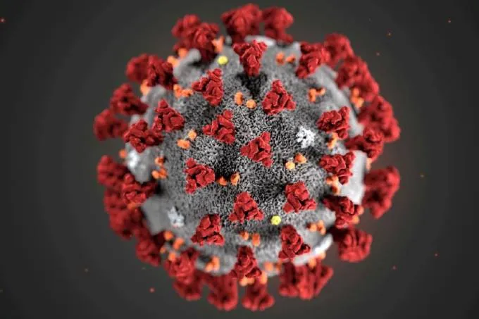Segundo cientistas da OMS, a cepa pode ser mais resistente às vacinas