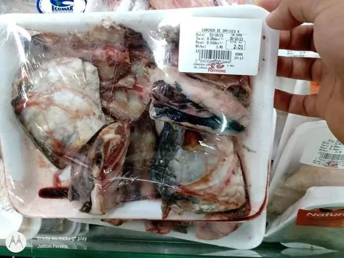 Alimentos que normalmente seriam descartados passaram a ser vendidos em mercados