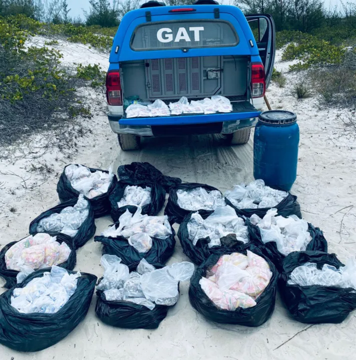 Os agentes encontraram mais de 21 mil tabletes de maconha
