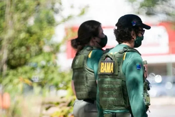 Remunerações chegam a R$ 8.547,64