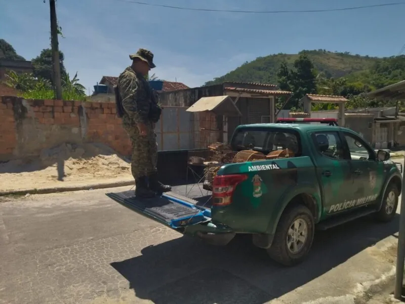 Homem que se identificou como dono das aves foi levado para a 75ª DP (Rio do Ouro) 