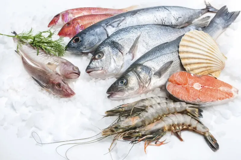 O projeto altera a Lei 8.792/20, equiparando os setores de pescados e carnes