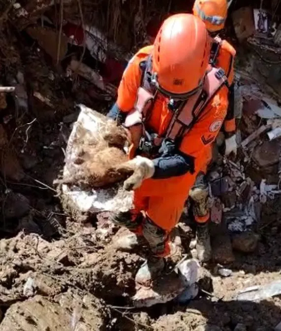 "Gatinho, você perdeu as seis vidas", disse um dos militares no vídeo