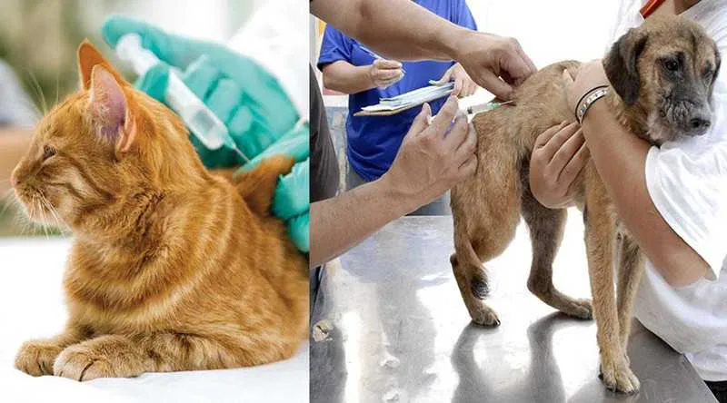 É importante ficar atento ao calendário