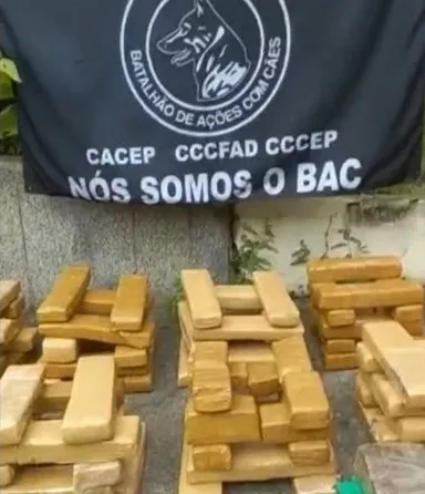 Polícia Militar aprendeu grande quantidade de maconha no Jacarezinho