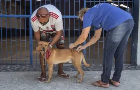 São Gonçalo retoma vacinação antirrábica no próximo sábado