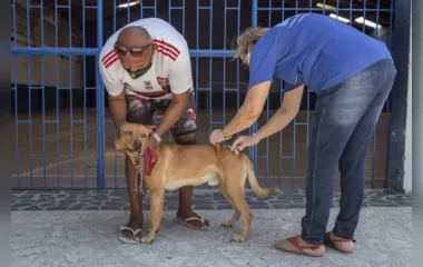 São Gonçalo retoma vacinação antirrábica no próximo sábado