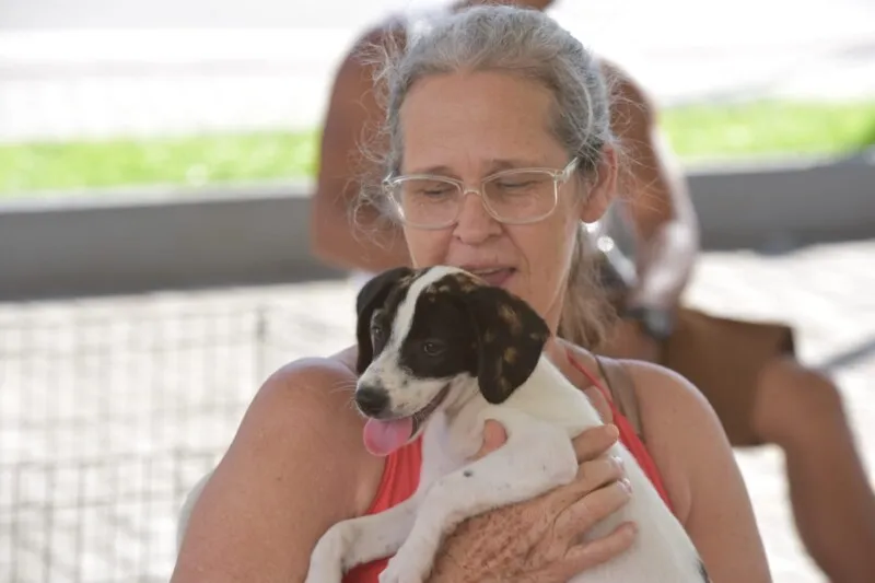 Animais ganharam novo lar neste domingo (15)