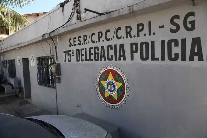 Apreensão foi feita por agentes da 75ªDP