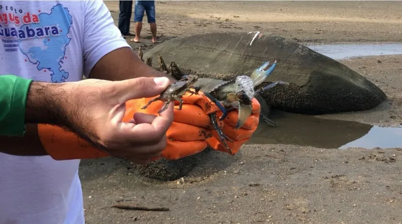 Pescadores são de São Gonçalo e Magé