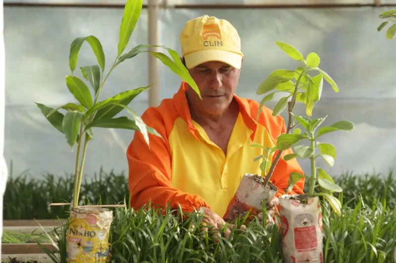 Companhia produz 100 mil mudas de espécies variadas de vegetação por ano