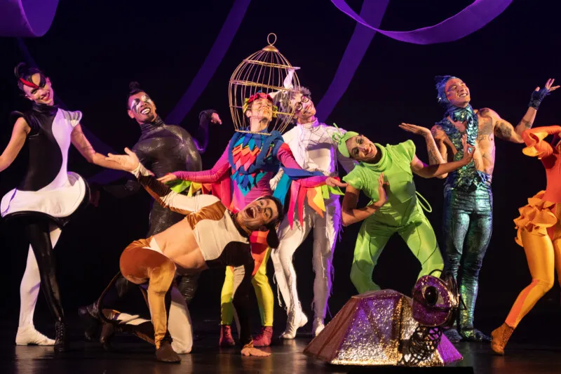 Espetáculo musical 'Bichos Dançantes'