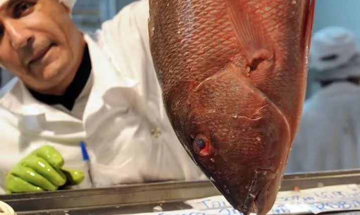 Campanha incentiva consumo de peixes