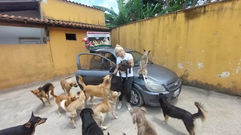 Carro virou item essencial para divulgação da causa da ONG Ozanimais