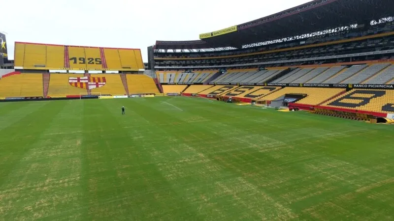 Jogo acontece no estádio Monumental Isidro Romero Carbo, em Guayaquil