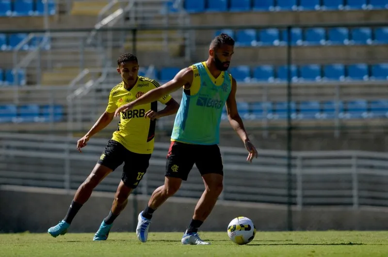 Treino