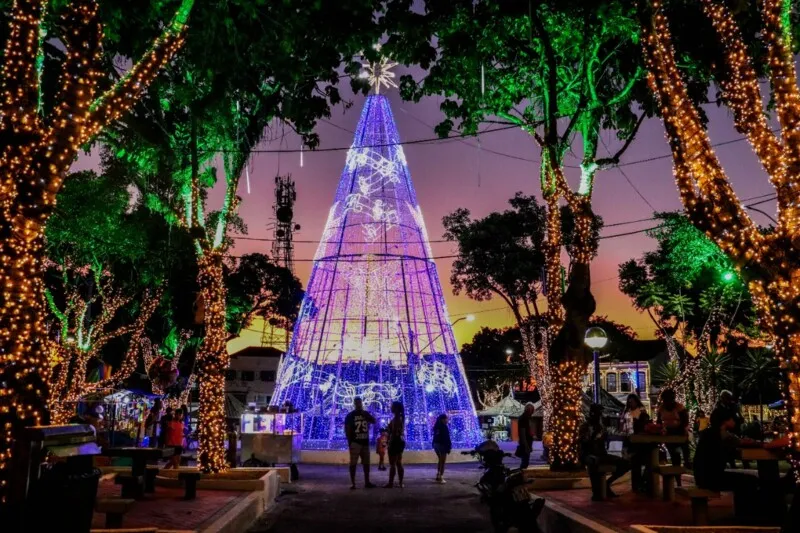 O Natal Luz do município tem ainda decoração natalina na Praça Vereador Edgar Rodrigues, conhecida como Praça de Itambi, e mais uma árvore na Avenida 22 de Maio