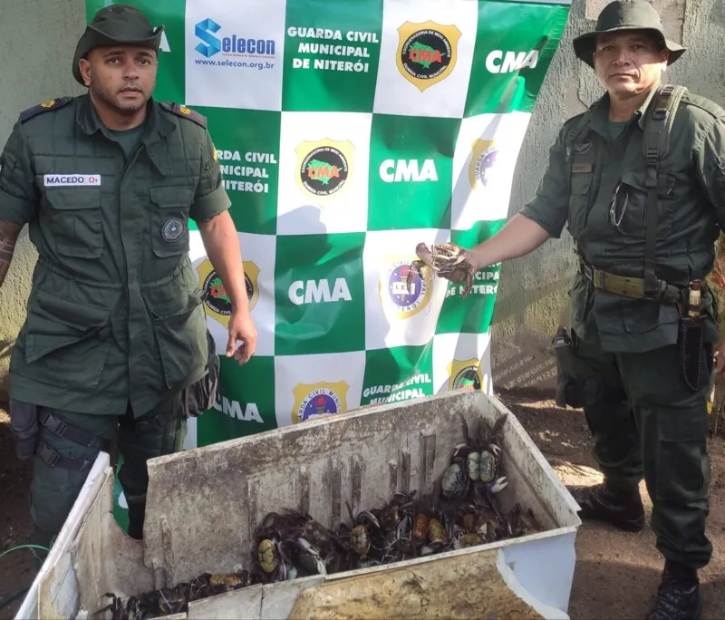 Os animais foram soltos na área de manguezal do Parque Estadual da Serra da Tiririca (Peset), em Itaipu, na Região Oceânica
