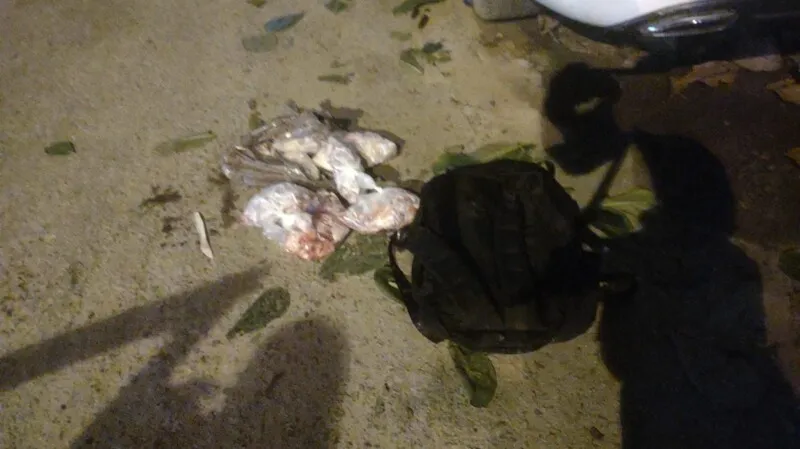 Polícia também encontrou cocaína e munição com o suspeito