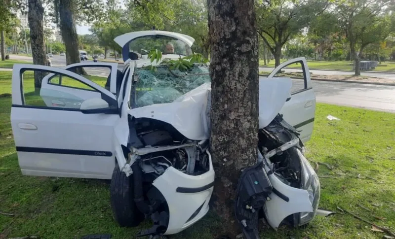 O automóvel onde estavam cinco pessoas colidiu contra uma árvore