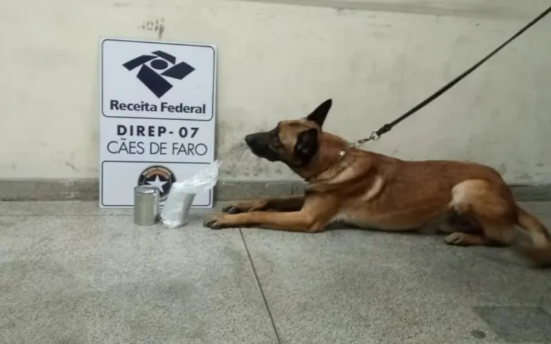 A droga foi encontrada pelo cão de faro Dax
