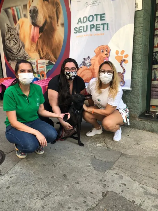 Esse ano os trabalhos já foram finalizados, mas elas prometem que em janeiro irão voltar com tudo