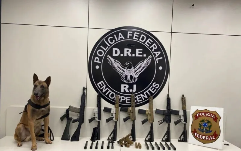 Ação contou com a ajuda do cão Apollo