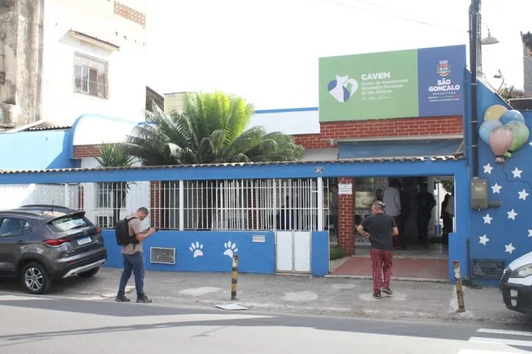 Ao todo, são realizadas 84 castrações por semana e que, nesta etapa, vão seguir até o dia 30 de dezembro